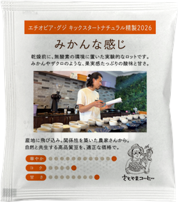 みかんな感じ ドリップバッグ 5個セット
