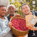 定期便_華やかな浅煎りコース